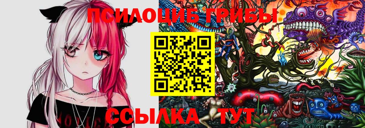 Галлюциногенные грибы GOLDEN TEACHER  Галлюциногенные грибы прущие грибы  Казань  Вход с VPN 